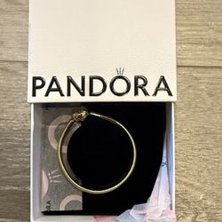 Pandora Bracelet 