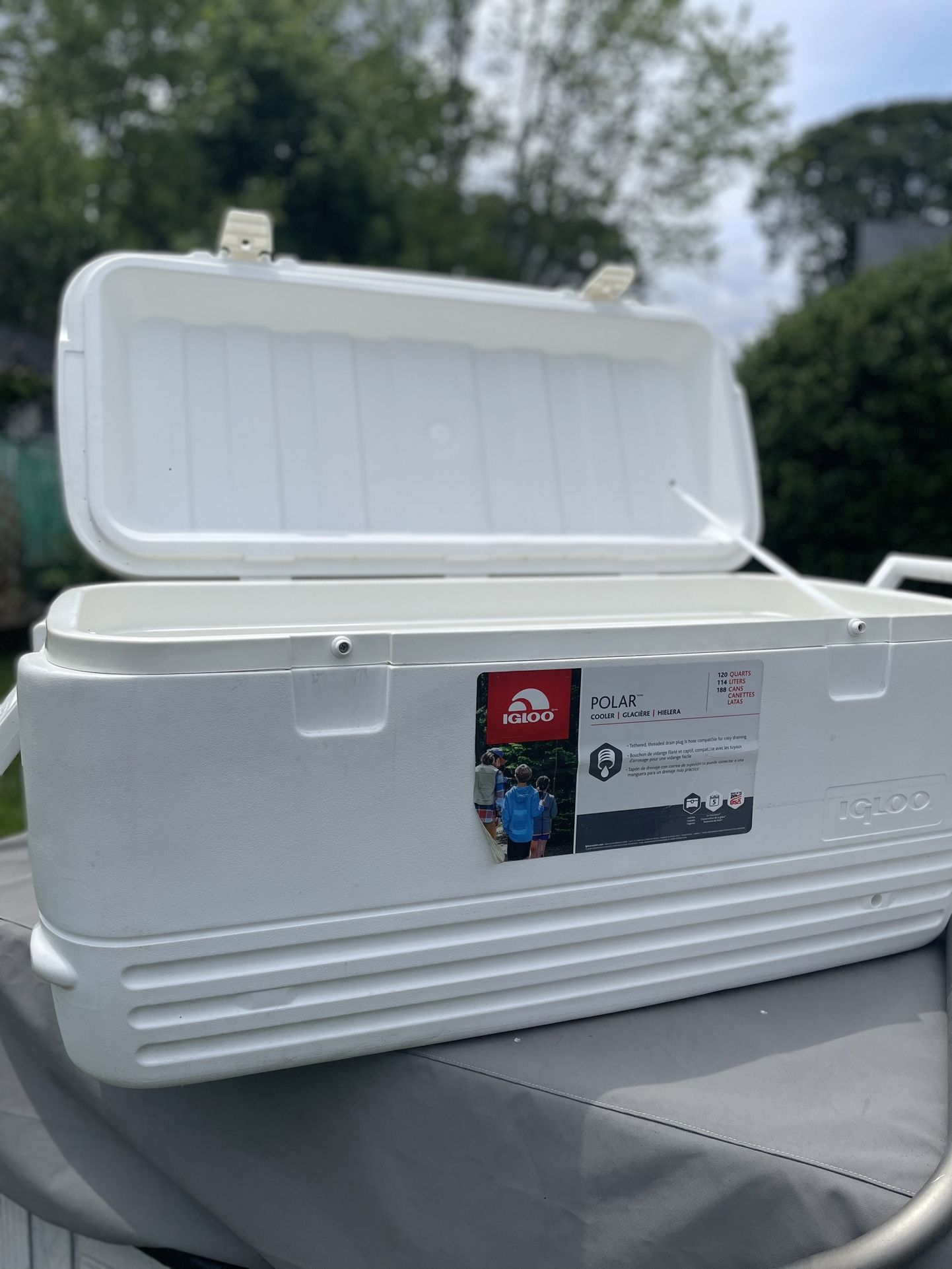 Igloo Cooler