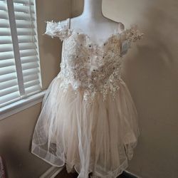 (Brand New) Short Dress 