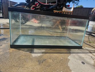 75 gallon tank