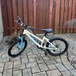 Nishiki Kids Mountain Bike 