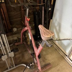 Fusion Bladez Exercise Bike