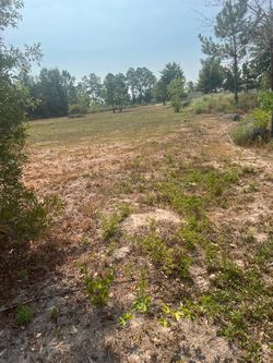 Lot /lote