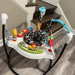 Fisher-Price Baby Bouncer Pink Petals Jumperoo Musical Activity Center with Lights Sounds