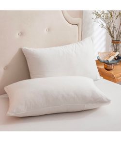 PURE ERA Jersey Knit Pillowcases 100% T-Shirt Cotton Super Soft Comfy Breathable, Set of 2, Standard 20" x 36", Solid Off White
