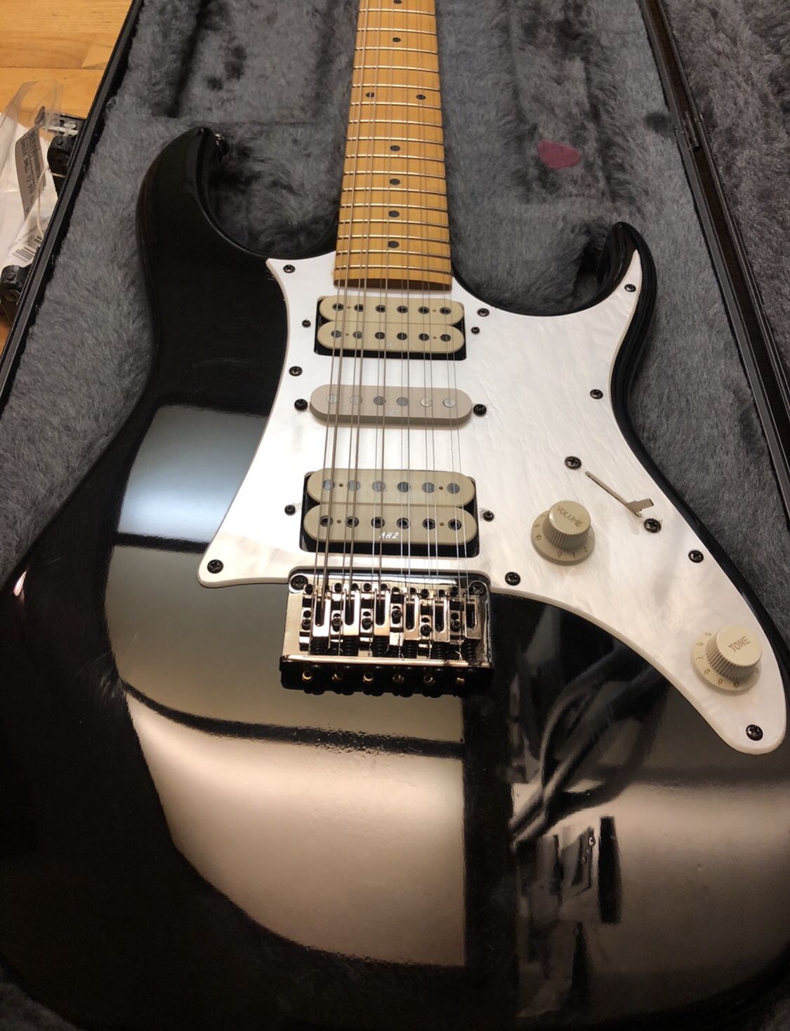 Ibanez 12-String ELECTRIC Guitar!! RARE