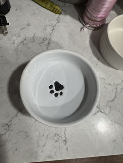 Cat / Dog Bowl 
