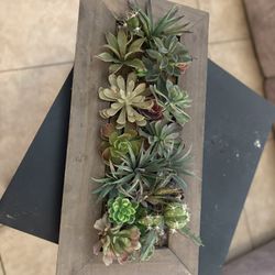 Plastic Plants Decor