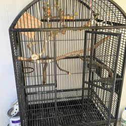 Bird Cage 