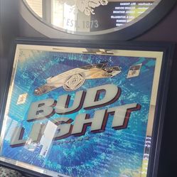 Beer mirrors