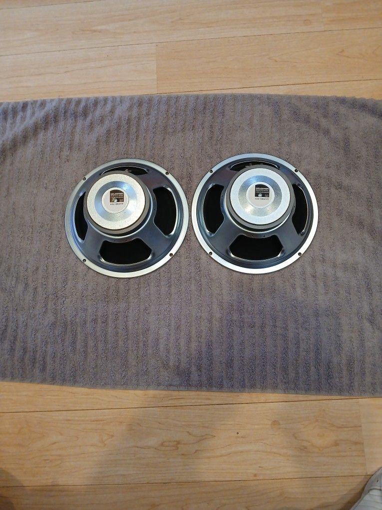 Celestion G12-100 12in 8ohm speakers