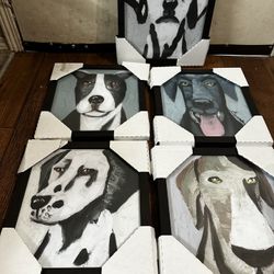 5dog Frames