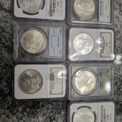 Morgan Dollars MS65  1880's
