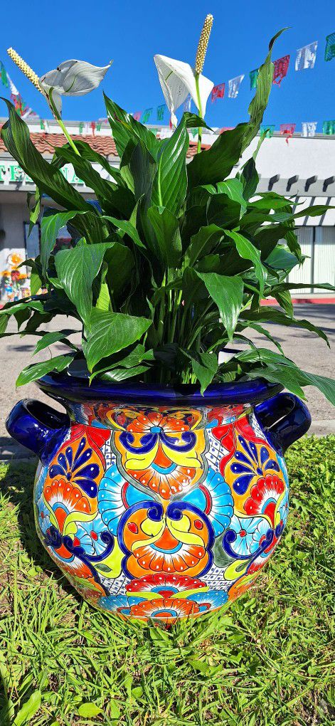 💥XL Clay Pot 💥Talavera & Clay Pottery 12031 Firestone Blvd Norwalk CA Open Every Day From 9am To 7pm 💥🪴