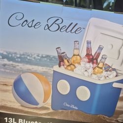 Bluetooth Speaker Cooler