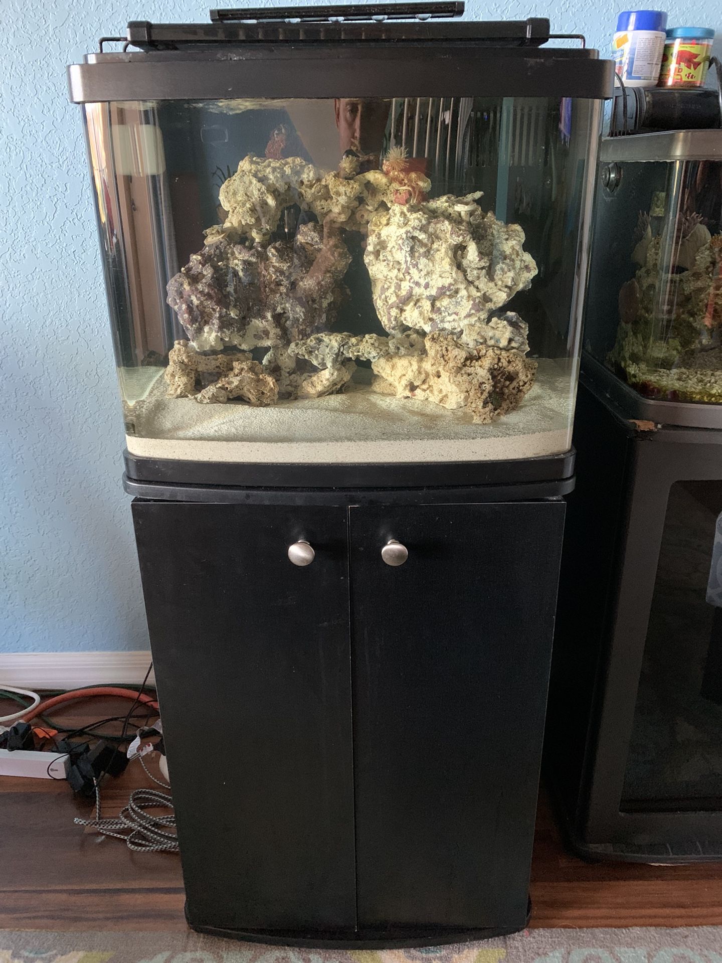 29 gallon biocube cheap