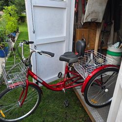 Adult Tricycle 7 Speed