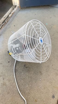Fan