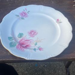 Forest Bavaria Germany Moonglow 