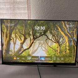 acer gaming/work monitor VA colors
