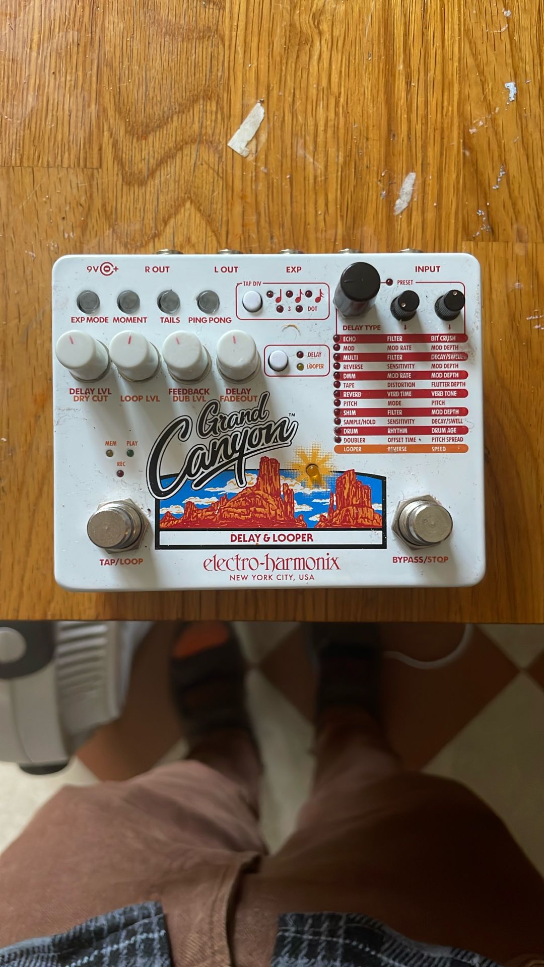 EHX Grand Canyon Guitar Looper & Delay Pedal