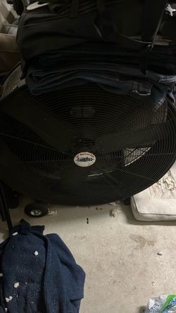 Extra Large Fan 