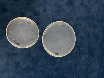 SPL REMO UK 12” + 16” Drum Tom heads