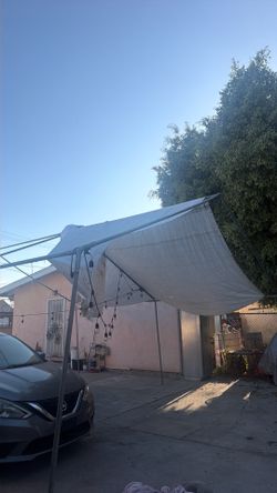 Tarp