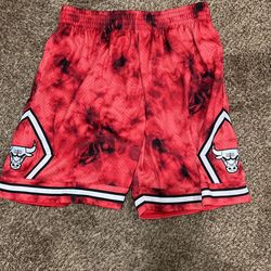 Mitchellness Chicago Bulls shorts