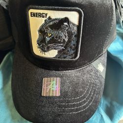 PANTHER HATS FARM ANIMAL