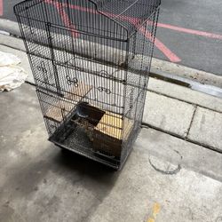 Bird Cage 