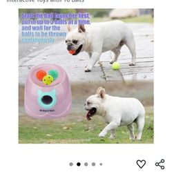 Automatic Dog Ball Launcher 