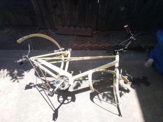 Bike 🚲 frame
