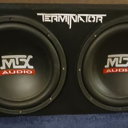 CAR Audio Speakers /subwoofer