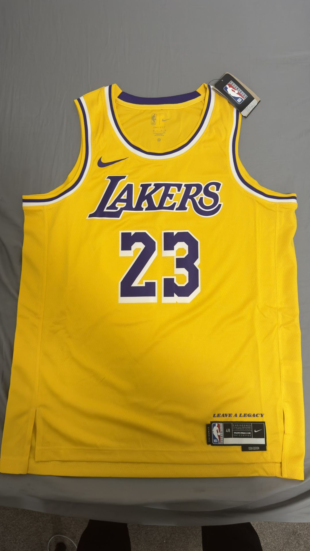 LeBron James Jersey - Los Angeles Lakers (23)