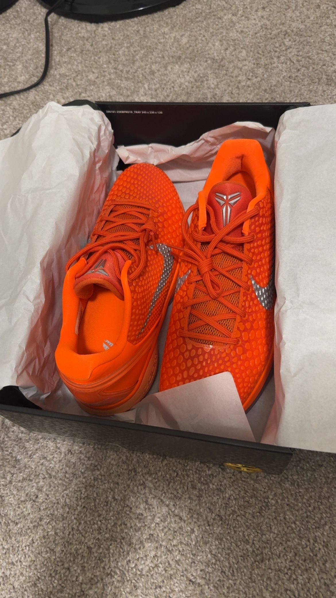 Kobe 6 Total Orange