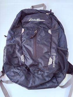 Eddie Bauer 20L Backpack