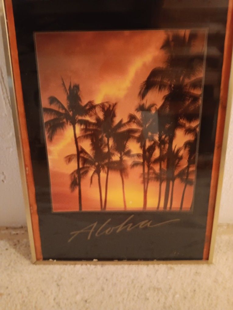 Hawaii :" Aloha" Glass Framed Picture