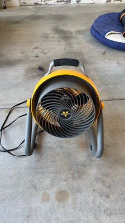Fan