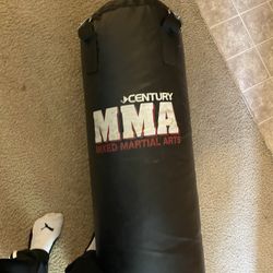 Boxing bag