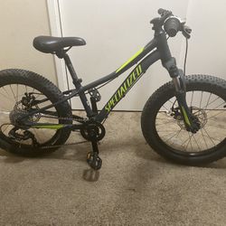Specialized Riprock 20 Inch Dirt Jumper