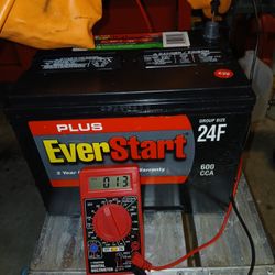 EverStart Plus 24F 12-volt Car Battery