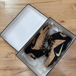 Lebron 12 Cork Sz 9
