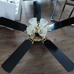 Nice Ceiling Fan