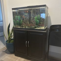 Fish Aquarium 