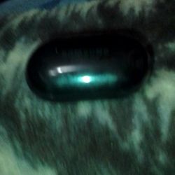 Samsung Earpods