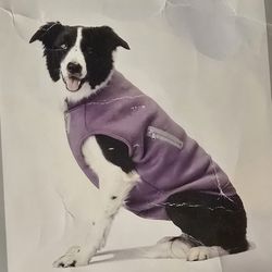 Small Lilac Doggy Coat