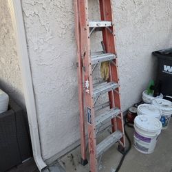 6 Ft Ladder 
