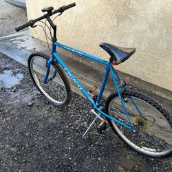 Used Bicycle