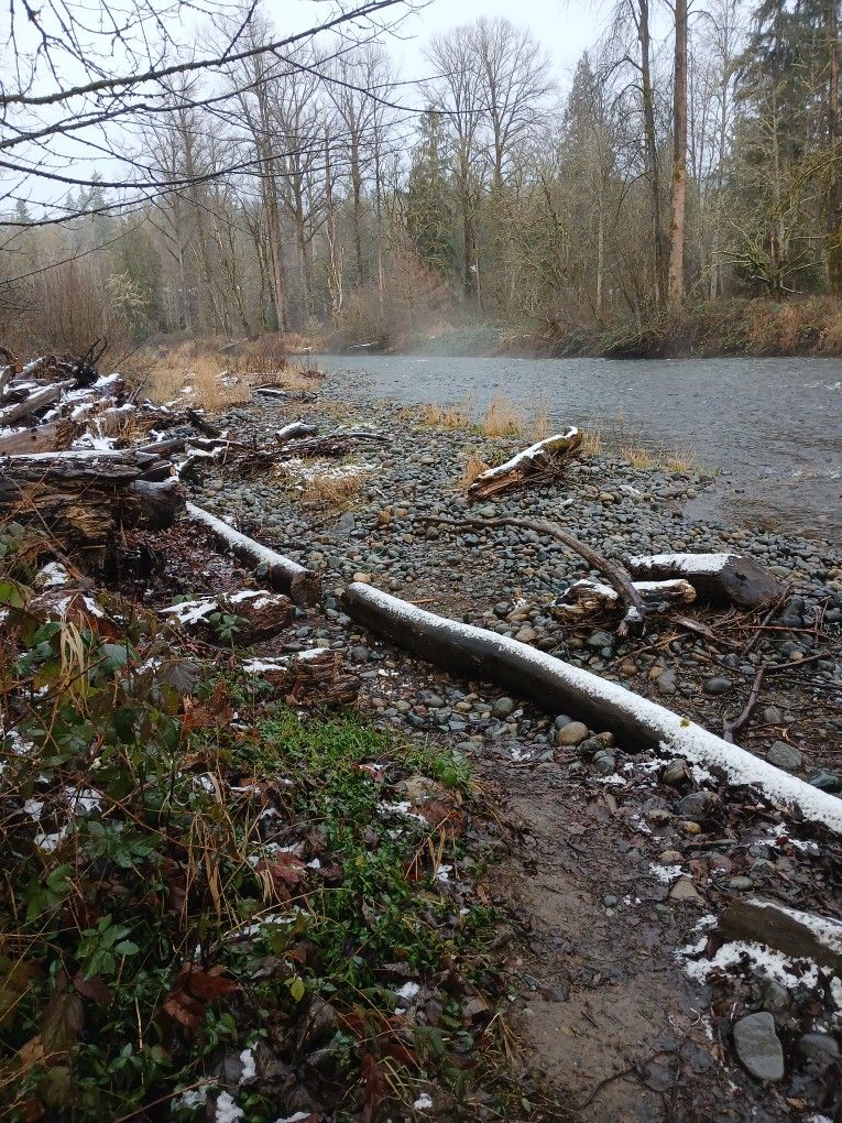Property On Cedar River